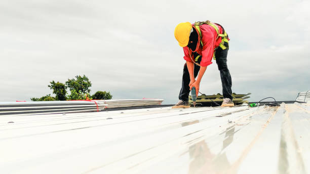 Best Solar Panel Roofing Installation  in Sumas, WA